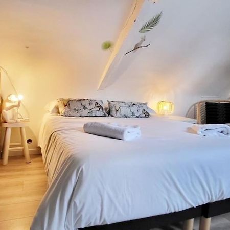 La Cabane - Petit Studio Mansarde - Plage 50M - Rue Gratuite Saint-Malo Exterior foto